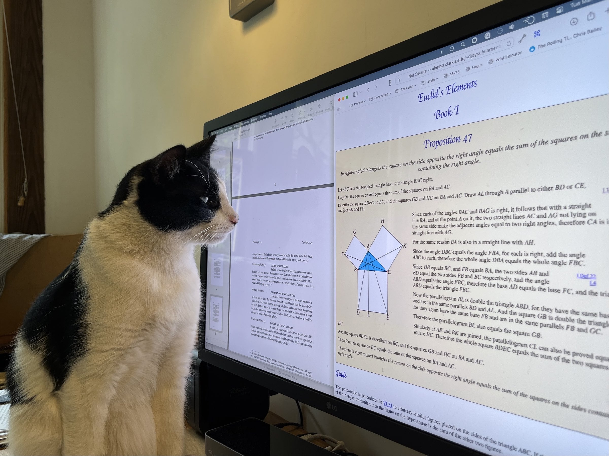 Cat looking at Euclid's Geometry