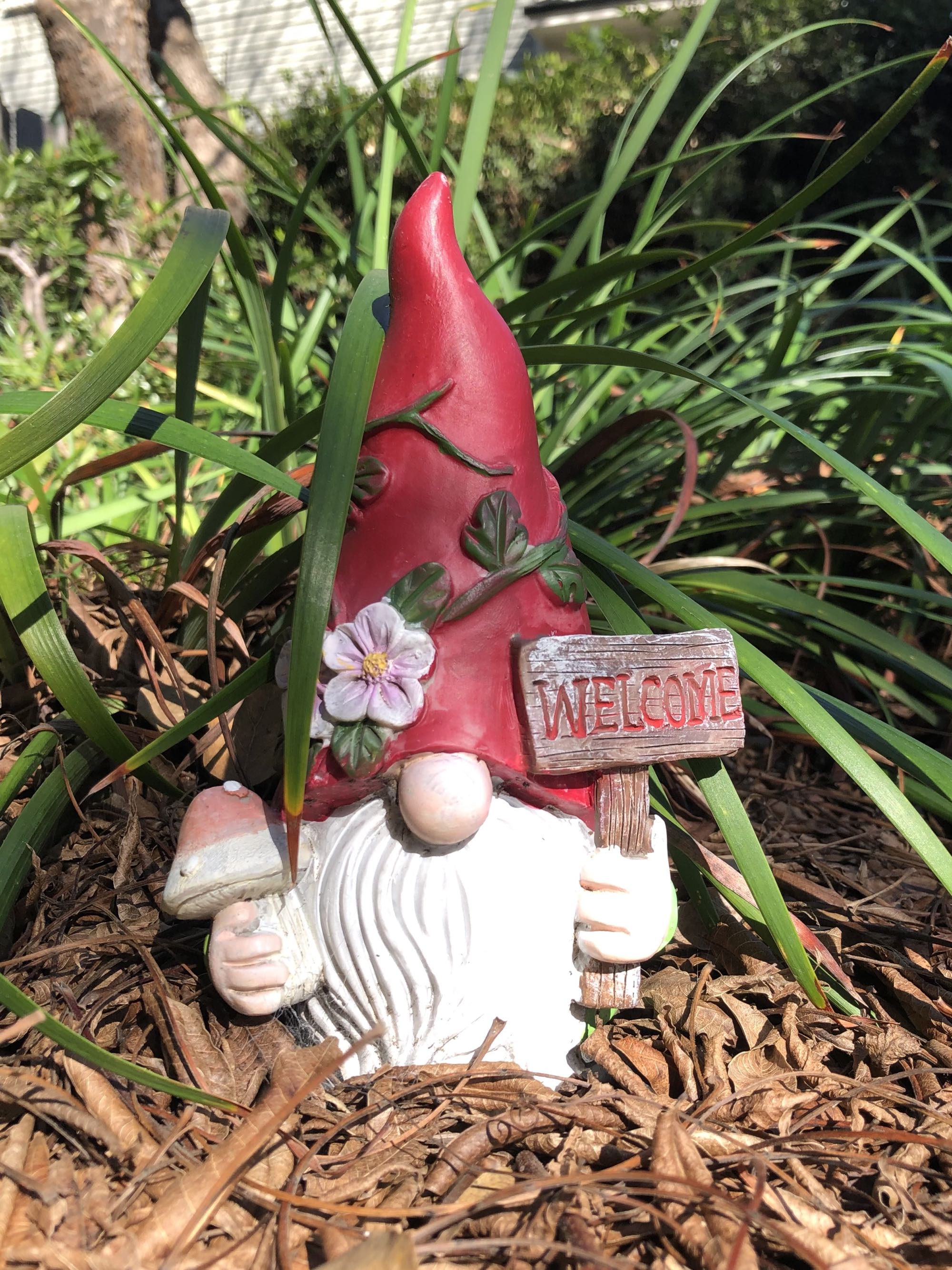 Michael Green's garden gnome